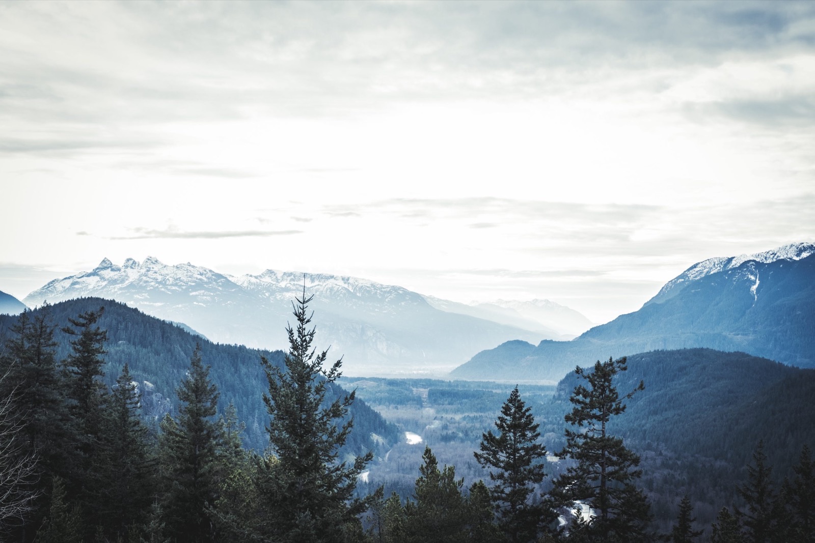 New Management and a New Direction for Backpackers Hostels Canada