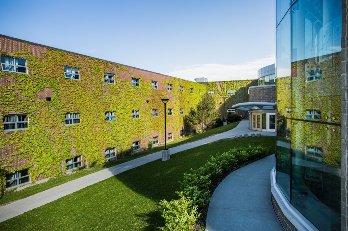 Grenfell Campus, Memorial University of Newfoundland