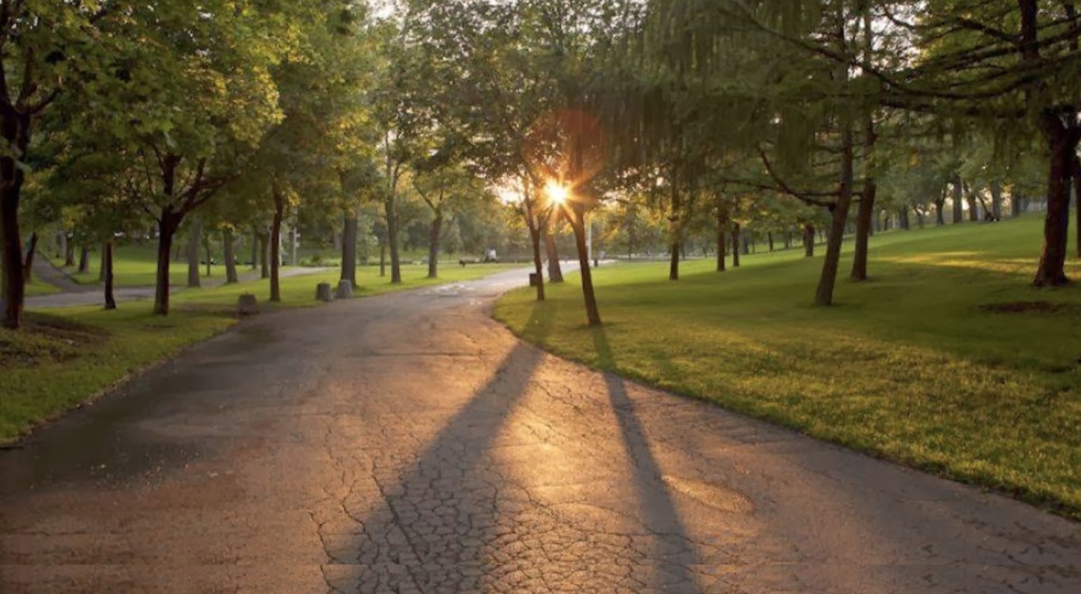 Le Gîte du Parc Lafontaine