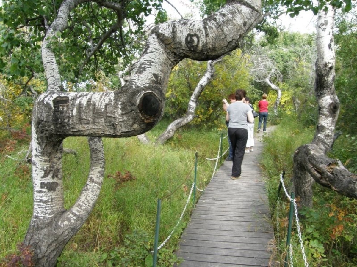Little known gems to see in Canada