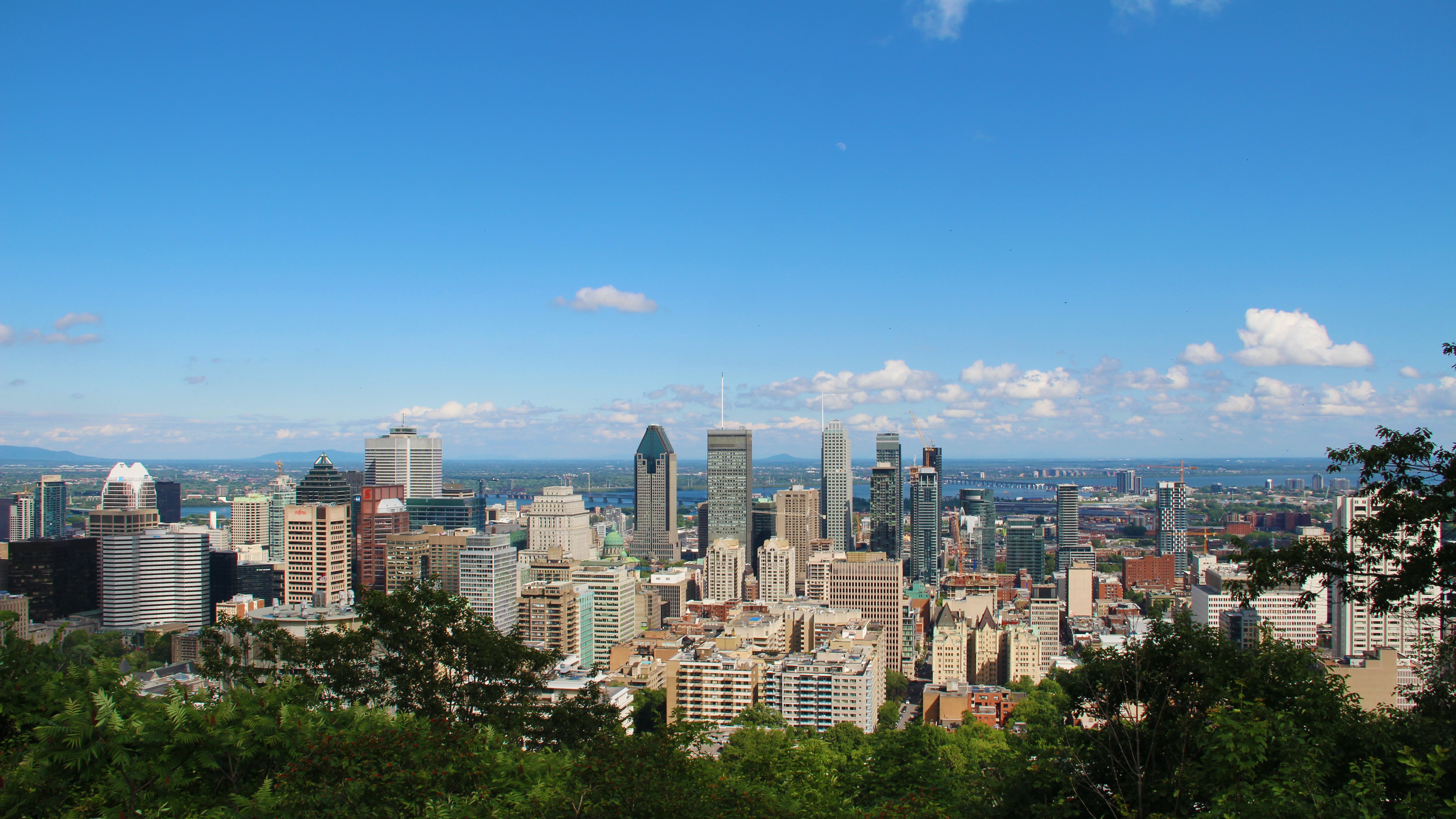 aerial view of city buildings during daytime