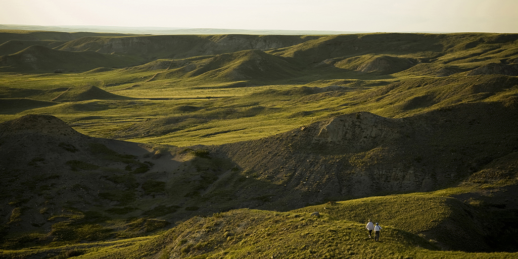 Grasslands National Park - Adventures in the West Block | Tourism  Saskatchewan